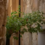 Casa Alta * Valderrobres