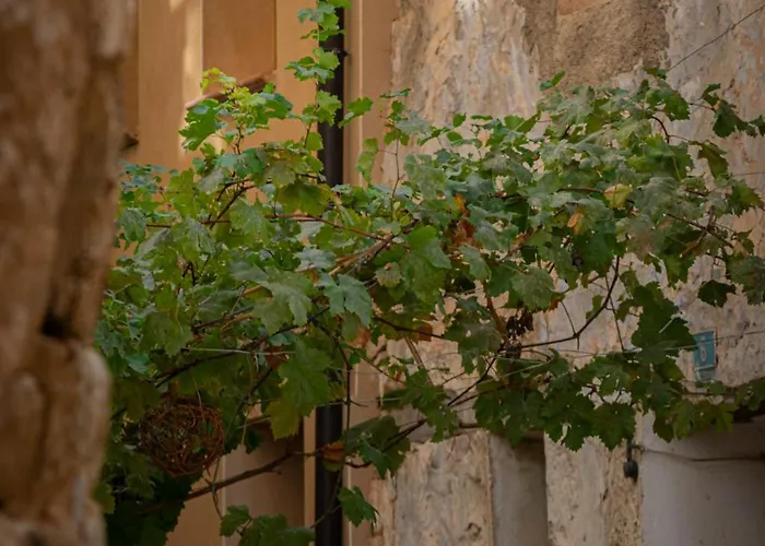 Casa Alta * Valderrobres